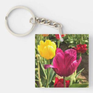 Vår Tulips, Oregon