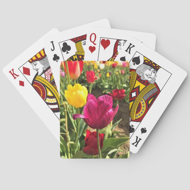 Vår Tulips, Oregon Casinokort (Baksidan)
