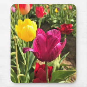 Vår Tulips, Oregon Musmatta