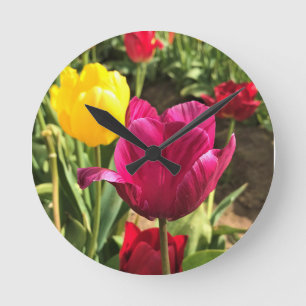 Vår Tulips, Oregon Rund Klocka