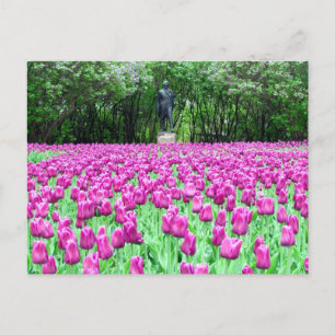 Vår Tulips på engelska Gardens vykort