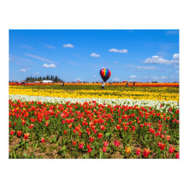 Vår Tulips Photo EnUtvidgning Fototryck