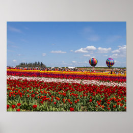 Vår Tulips Poster Pappra (projektionsyta)