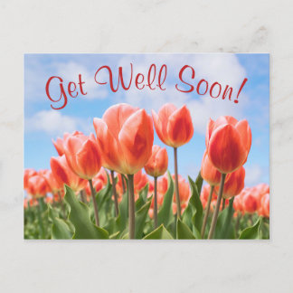 Vår Tulips Sunny Get well Soon Postcard Vykort