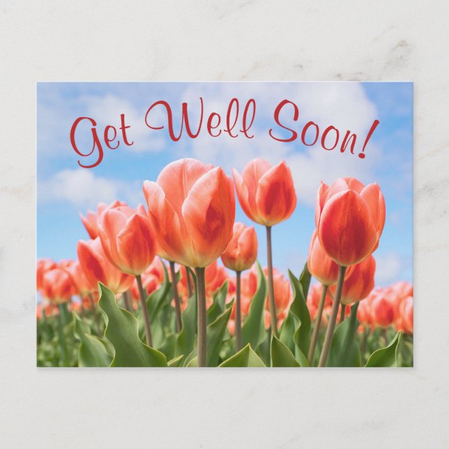 Vår Tulips Sunny Get well Soon Postcard Vykort (Framsida)