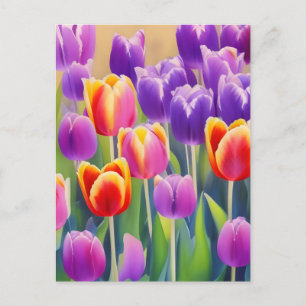 Vår Tulips vykort