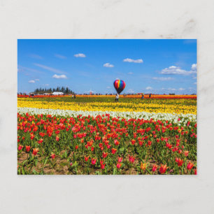 Vår Tulips vykort