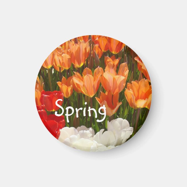 Vår Tulpan Blommor magneter Orange Tulpaner (Framsidan)