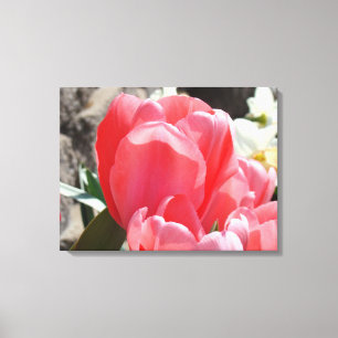 Vår Tulpan Blommor Rosa Canvas Konsttryck