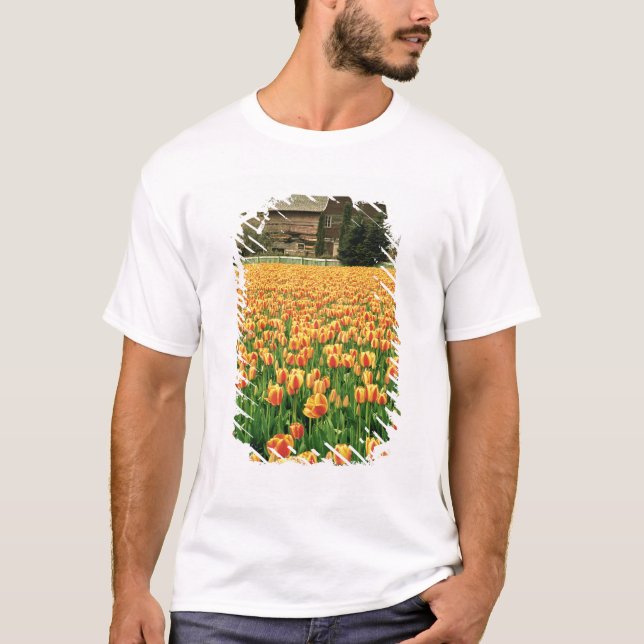 Vår tulpaner blommar framför gammal lada. t-shirt (Framsida)