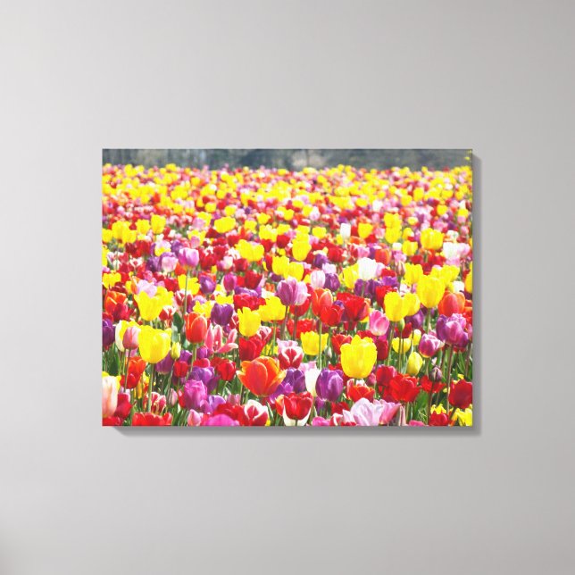 Vår Tulpaner Canvas Paneler Anpassad Fin Konst (Framsida)