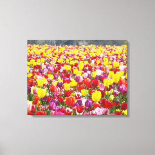 Vår Tulpaner Canvas Paneler Anpassad Fin Konst