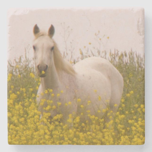 Vår Underlägg Sten (Framsidan)