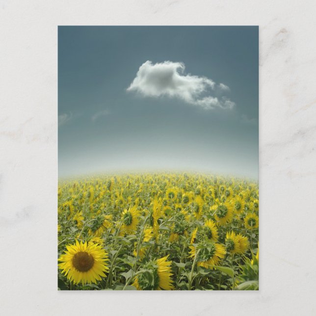 Var unik vykort (Framsida)