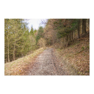 VÅR VÄG i SKOGEN Fototryck