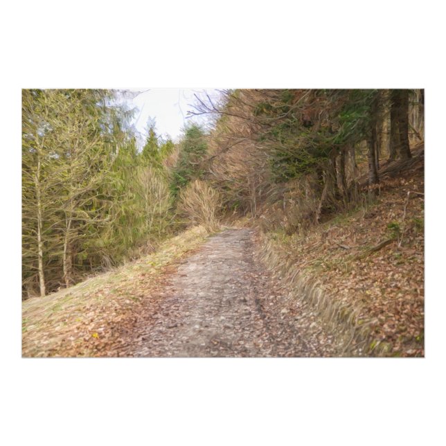 VÅR VÄG i SKOGEN Fototryck (Framsidan)