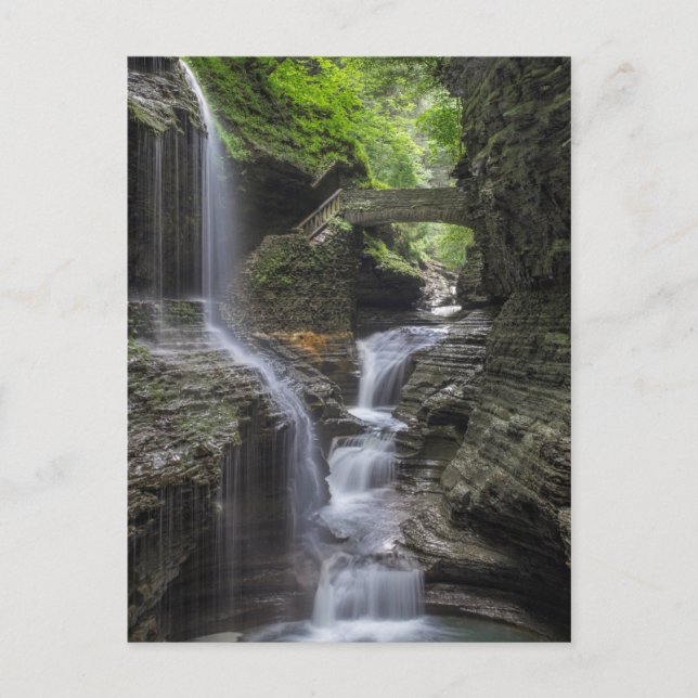 Vår Vattenfall i Watkins Glen Vykort (Framsida)