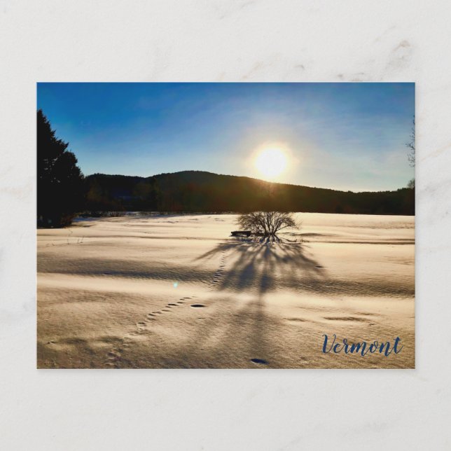 Vår verkar vara långt borta vykort (Framsida)