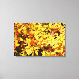 Vår vid Arboretum 6 Canvastryck