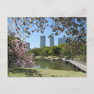 Vår vid Hama-rikyu Gardens: Tokyo Vykort