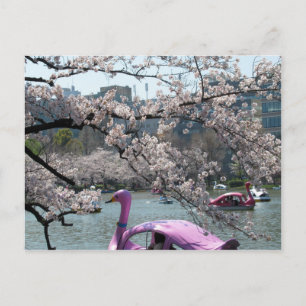 Vår vid Shinobazu-dammen: Ueno, Tokyo Vykort