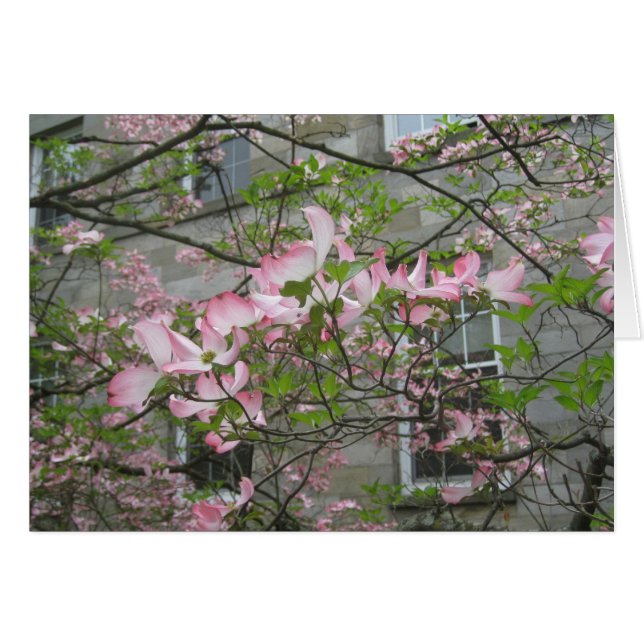 Vår vid Swarthmore College Hälsningskort (Framsidan Horizontal)