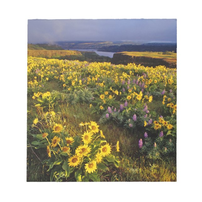 Vår vildblommor i överflöd vid Tom Anteckningsblock (Framsida)