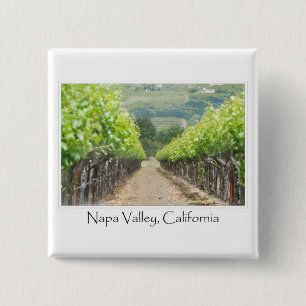 Vår Vineyard i Napa Valley California Knapp