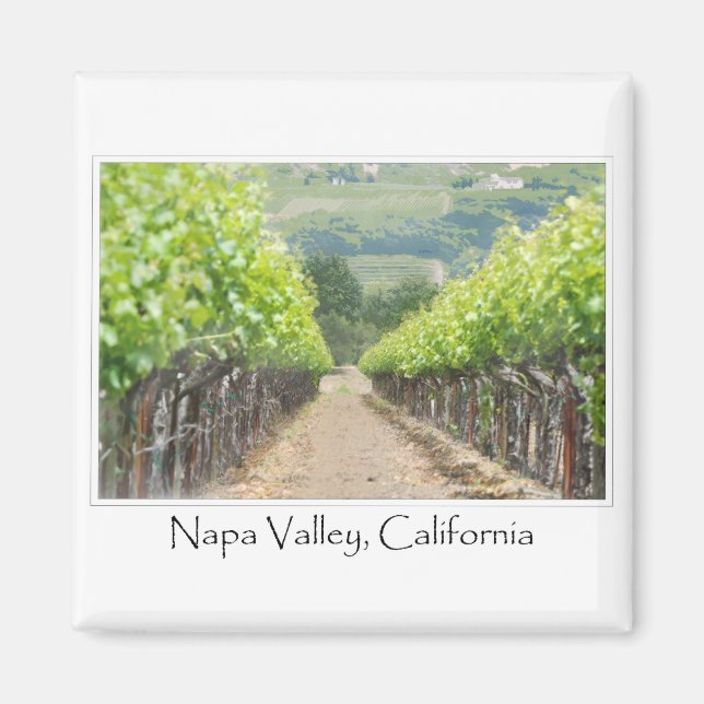 Vår Vineyard i Napa Valley California Magnet (Framsidan)