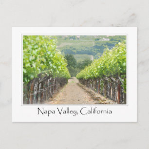 Vår Vineyard i Napa Valley California Vykort