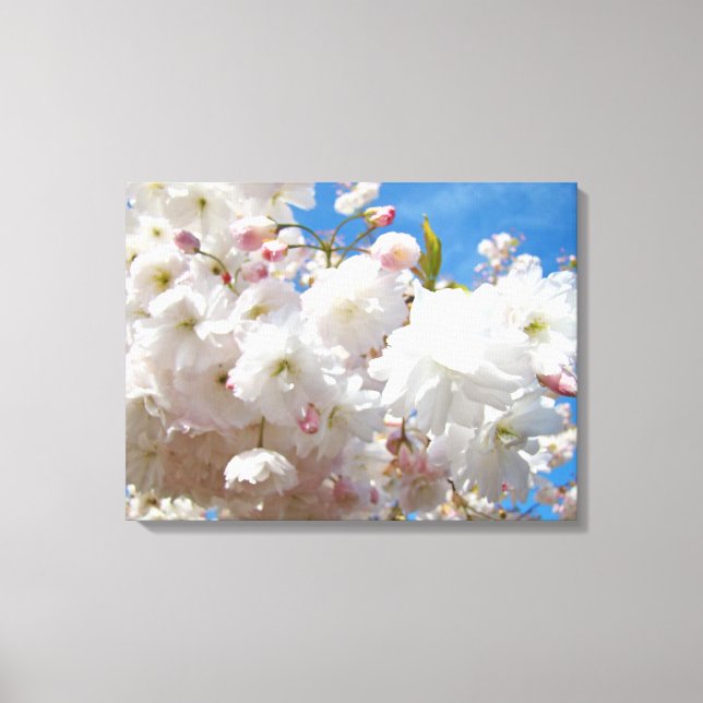 Vår Vit Rosa Blommande Blommor Blå Himmel Canvastryck (Framsida)