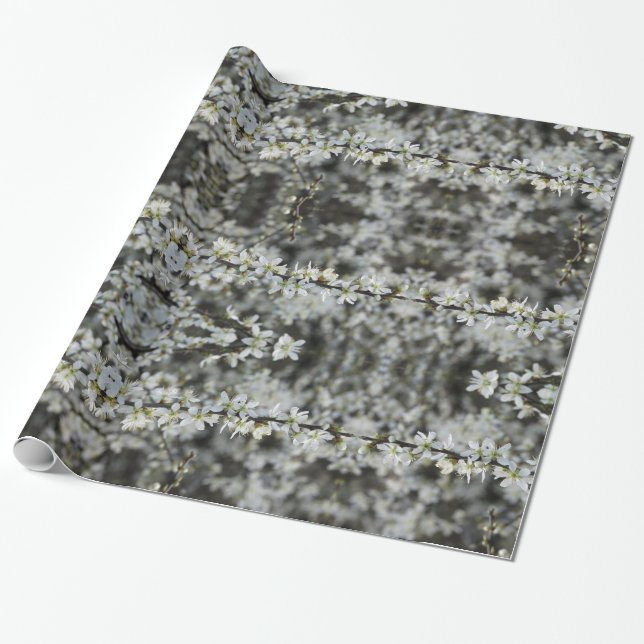 Vår,Vita Blommar, foto, Papper gåva Presentpapper (Utrullad)