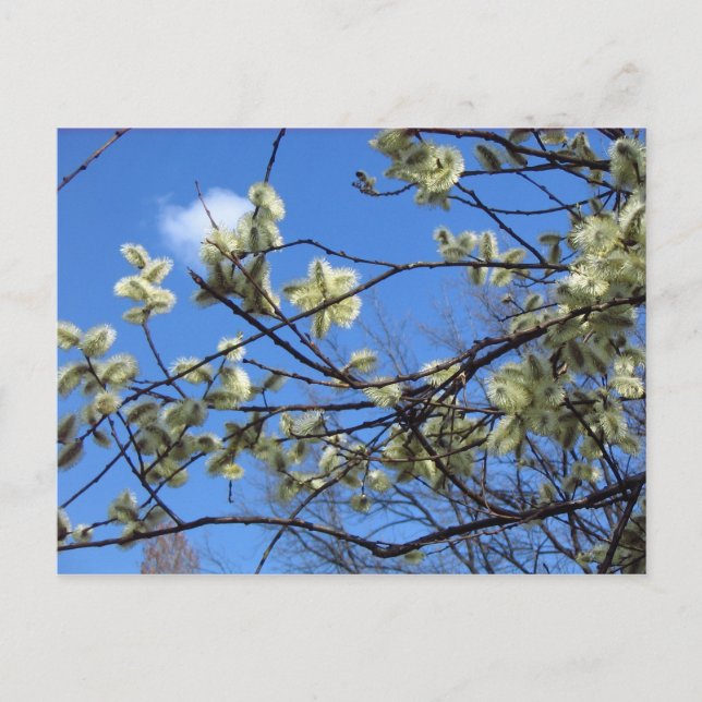 Vår Vykort (Framsida)