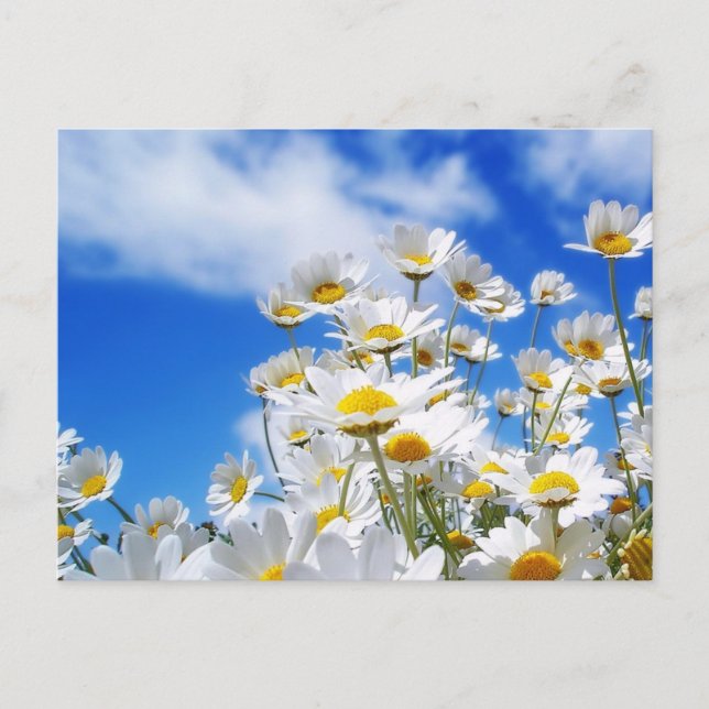 Vår Vykort (Framsida)