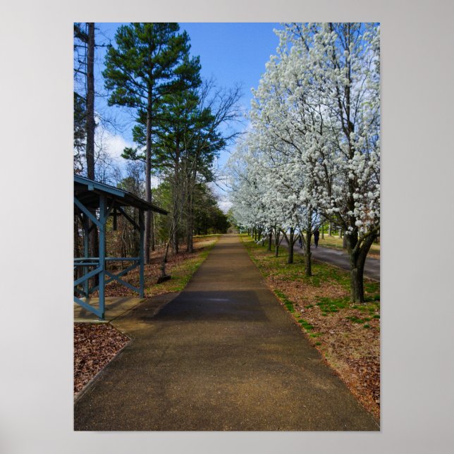Vår Walk Poster (Framsidan)
