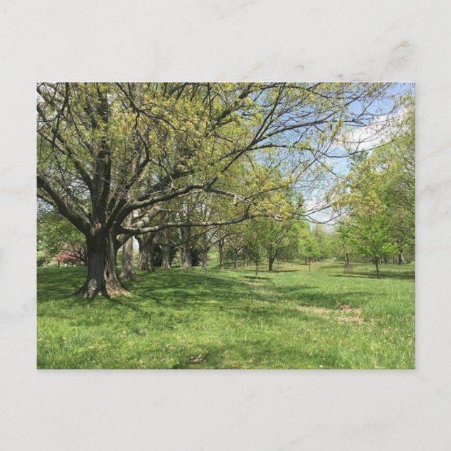 Vår Walk Vykort (Framsida)