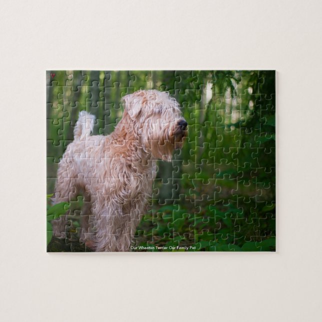 Vår Wheaten Terrier Vår Familj Husdjur Pussel (Horisontell)