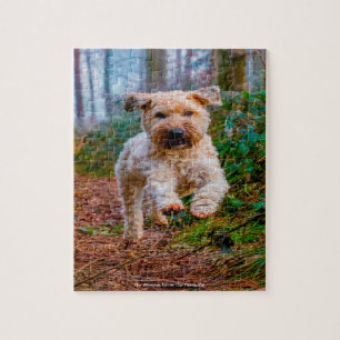 Vår Wheaten Terrier Vår Familjepet Pussel
