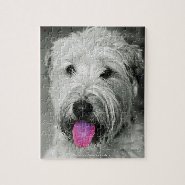 Vår Wheaten Terrier Vår Familjepet Pussel (Vertikal)