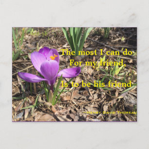 VARA ETT VÄNNE - THOREAU POSTCARD VYKORT