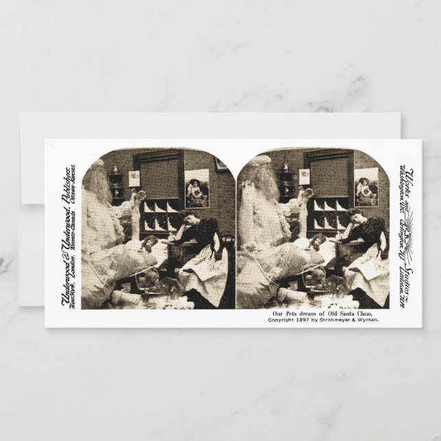 Våra husdjur drömmer om Jultomten Stereoview 1897 Julkort (Framsida)