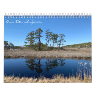 Våra naturliga utrymmen: dreamflower 2026 kalender