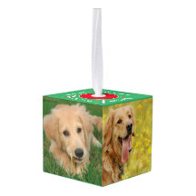 Våra sällskapsdjur 5 fotokub, prydnadsföremål