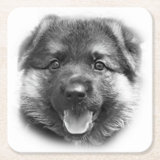 VARA SOM BONK! UNDERLÄGG PAPPER KVADRAT