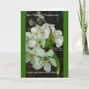 Våra uppriktiga beklagande kort