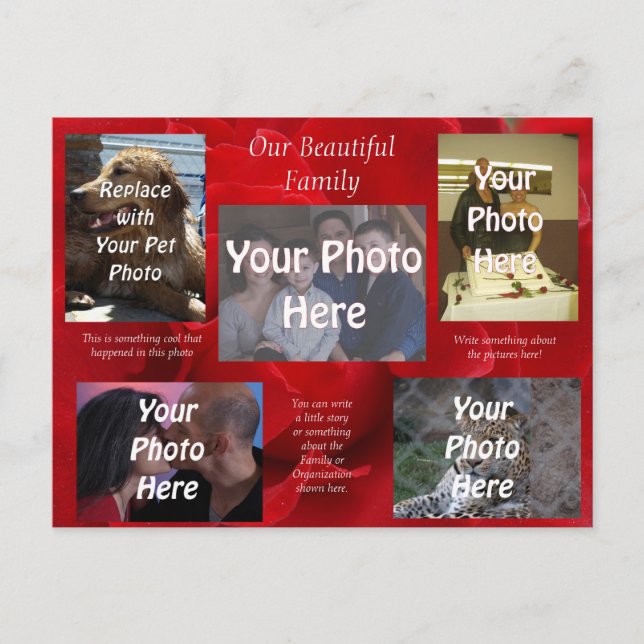 Våra vackra familjefoton över Röd ros Vykort (Framsida)