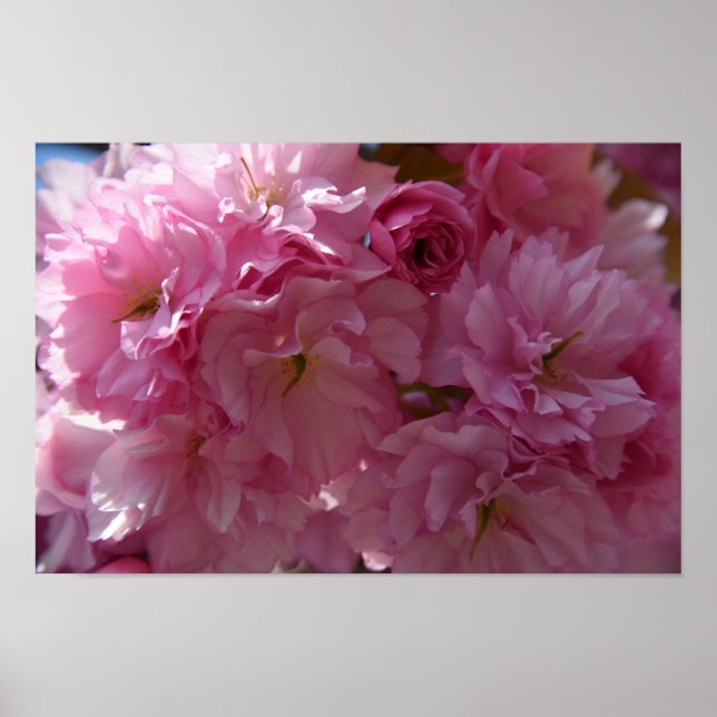 Våraffisch Poster (Framsidan)