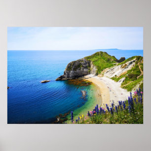 Varaktig dörr i Dorset Poster