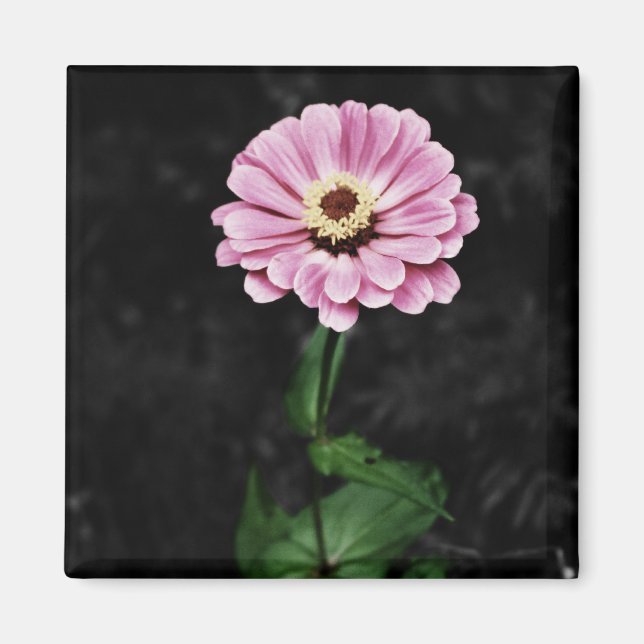 Varaktigt intryck magnet (Framsidan)