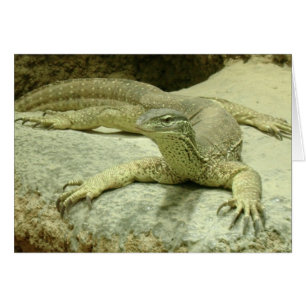 Varanus gouldii hälsningskort